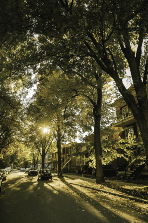 Image autobus Archibald